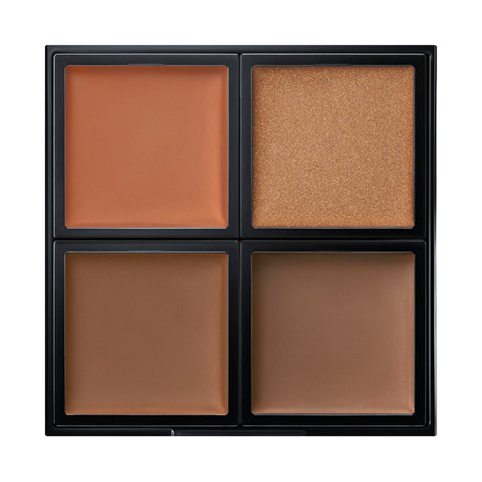 ADDICTION Skin Reflect Fresh Concealer (005 Amber)