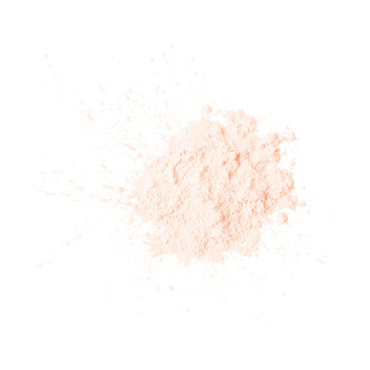 NARS Prisma Powder Loose 04203 Kit (DUSK)