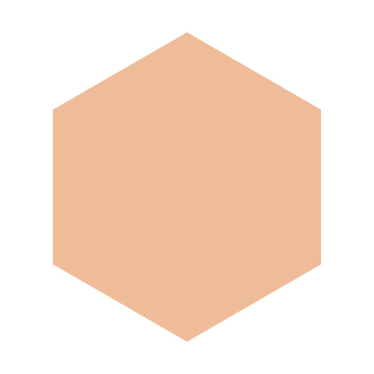 Integrate Gracy Essence Powder BB, SPF22 PA++, Refill, 1