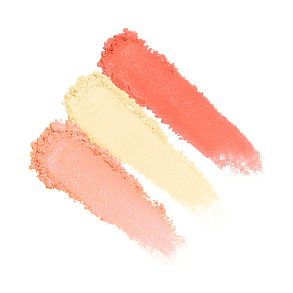 ANNA SUI Rose Mix Face Color 05