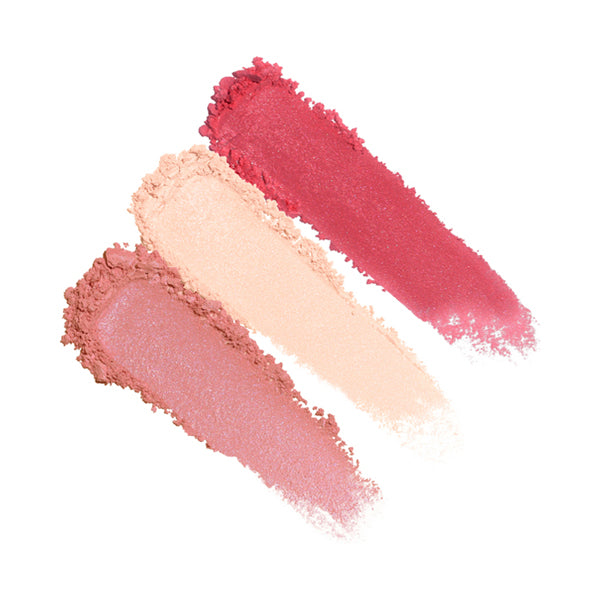 ANNA SUI Rose Mix Face Color 04