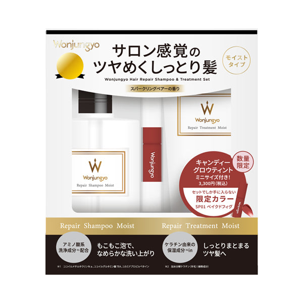 Wonjungyo Repair Shampoo & Treatment Moist Set with Mini Tint (SP01 Baked Fig), 350ml