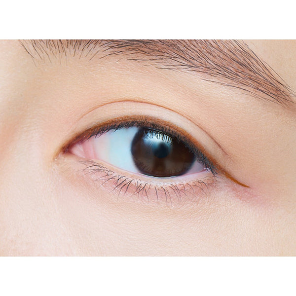 dejavu Lasting-fine E Ultra-Fine Cream Pencil 107 (Orange Chocolat)
