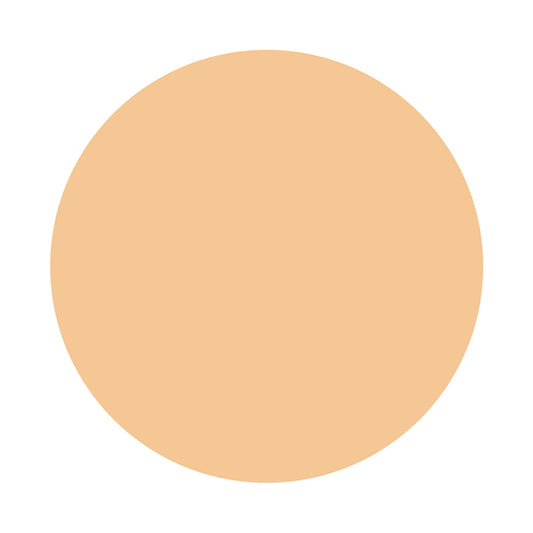 KISSME FERME Stick Concealer EX SPF34 (02 Natural)