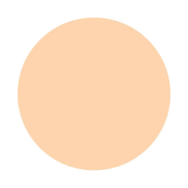 KISSME FERME Stick Concealer EX SPF34 (01 Light)