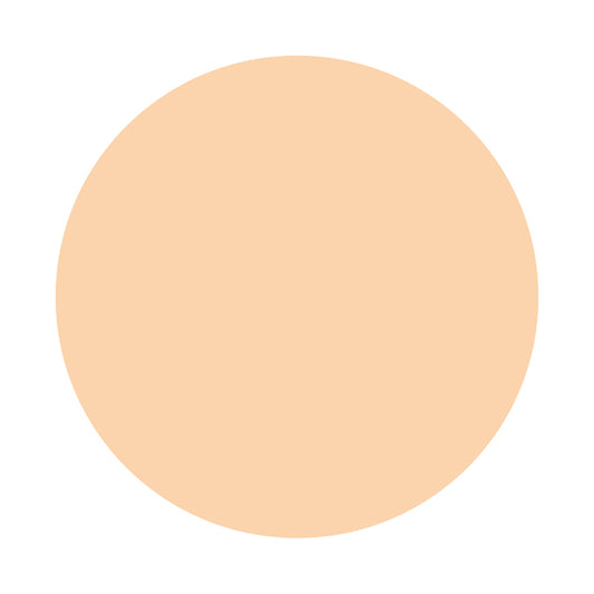 KISSME FERME Stick Concealer EX SPF34 (01 Light)