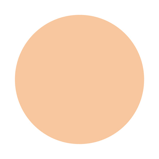 KISSME FERME Moist Glossy Powder Foundation EX SPF32 Refill (21 Healthy Skin)