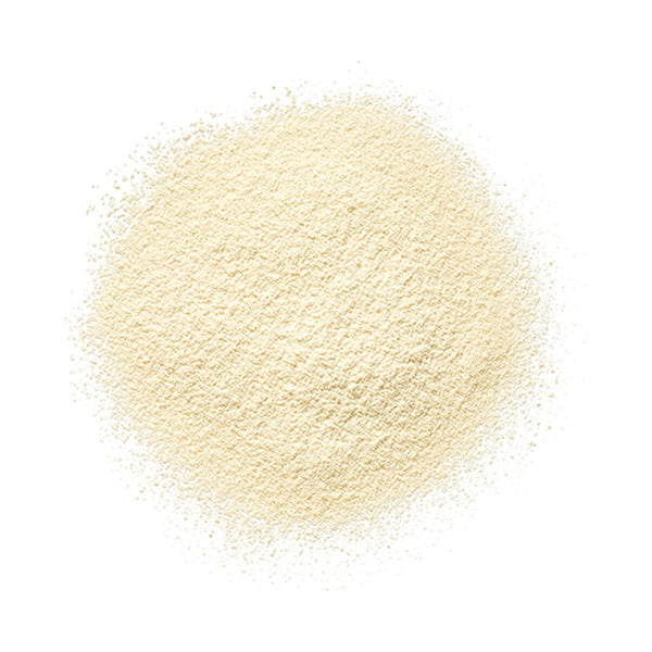 ALBION Studio Fine Silky Quartz Refill (LU01)