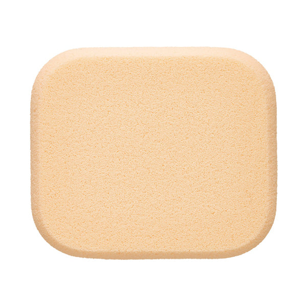 ALBION Excia Matte E