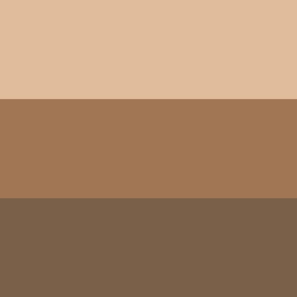 ORBIS Blend Eyebrow Compact (Natural Brown)
