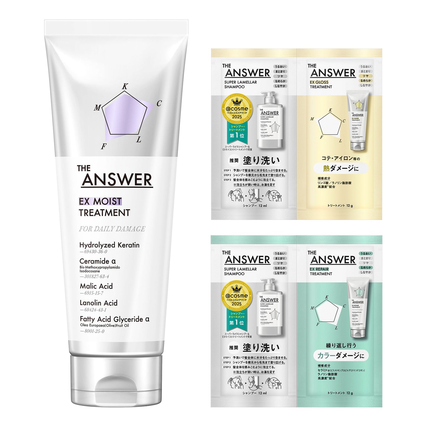 THE ANSWER Daily Treatment Set, 220g