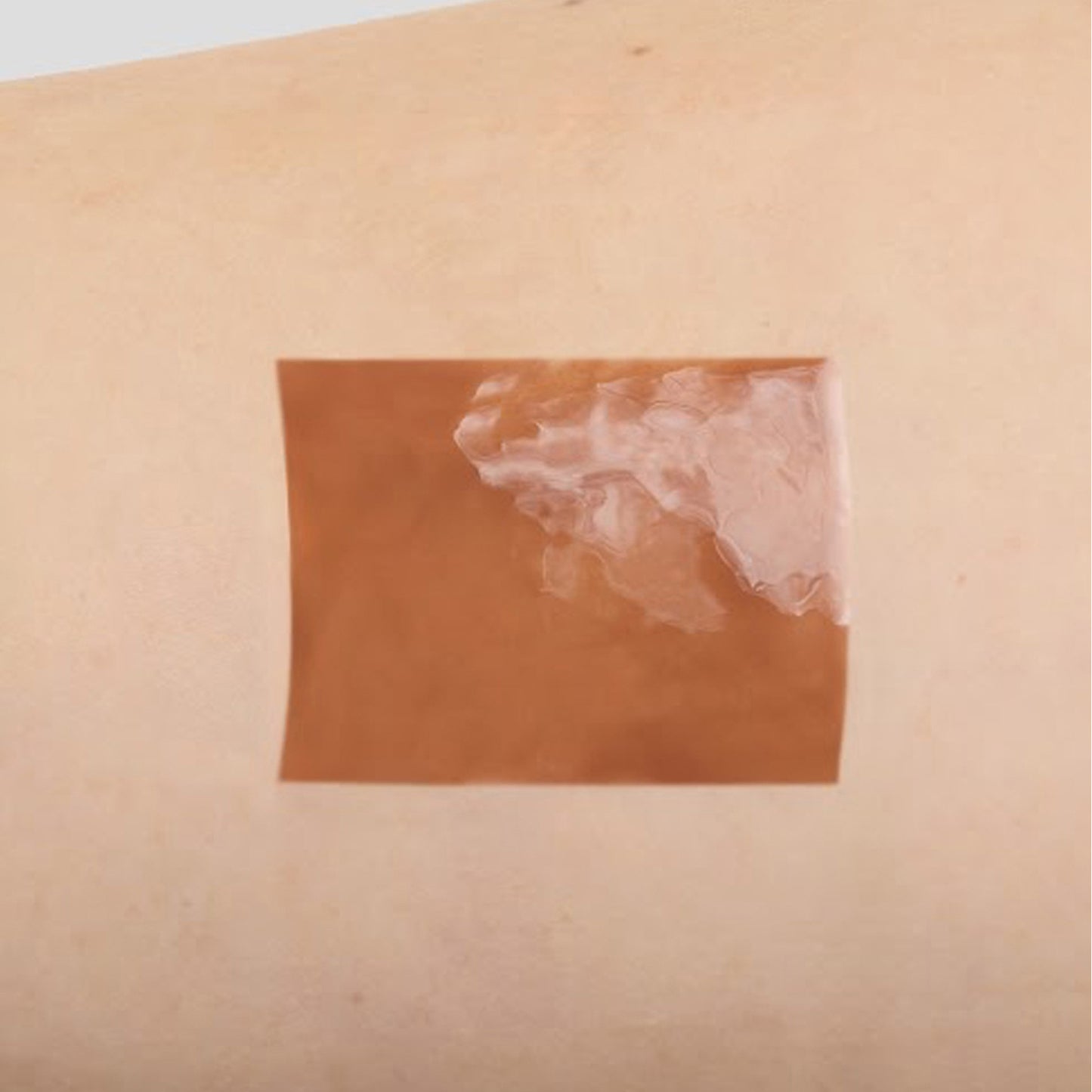 DIDION Melty Lip Gloss (03 Brown Sugar)