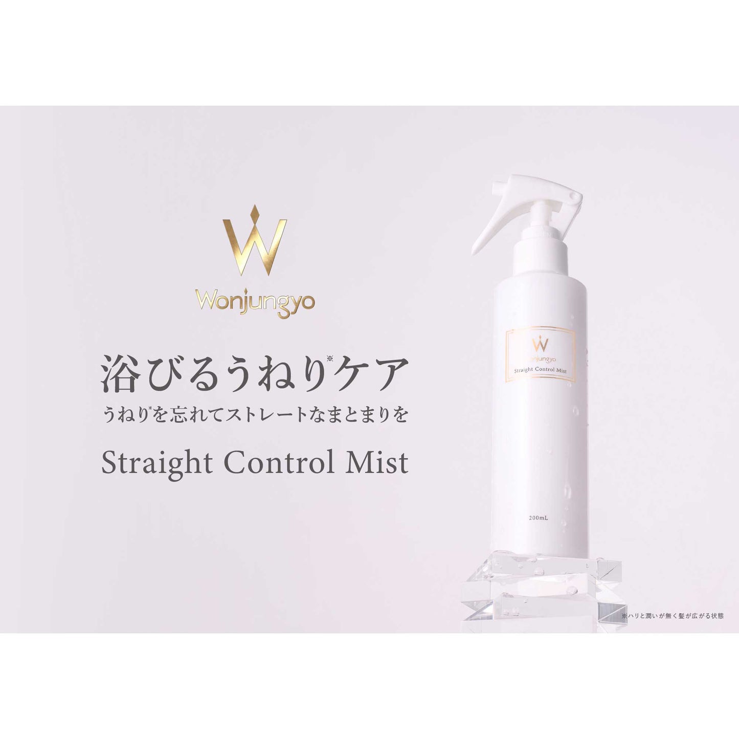 Wonjungyo Straight Control Mist, 200ml
