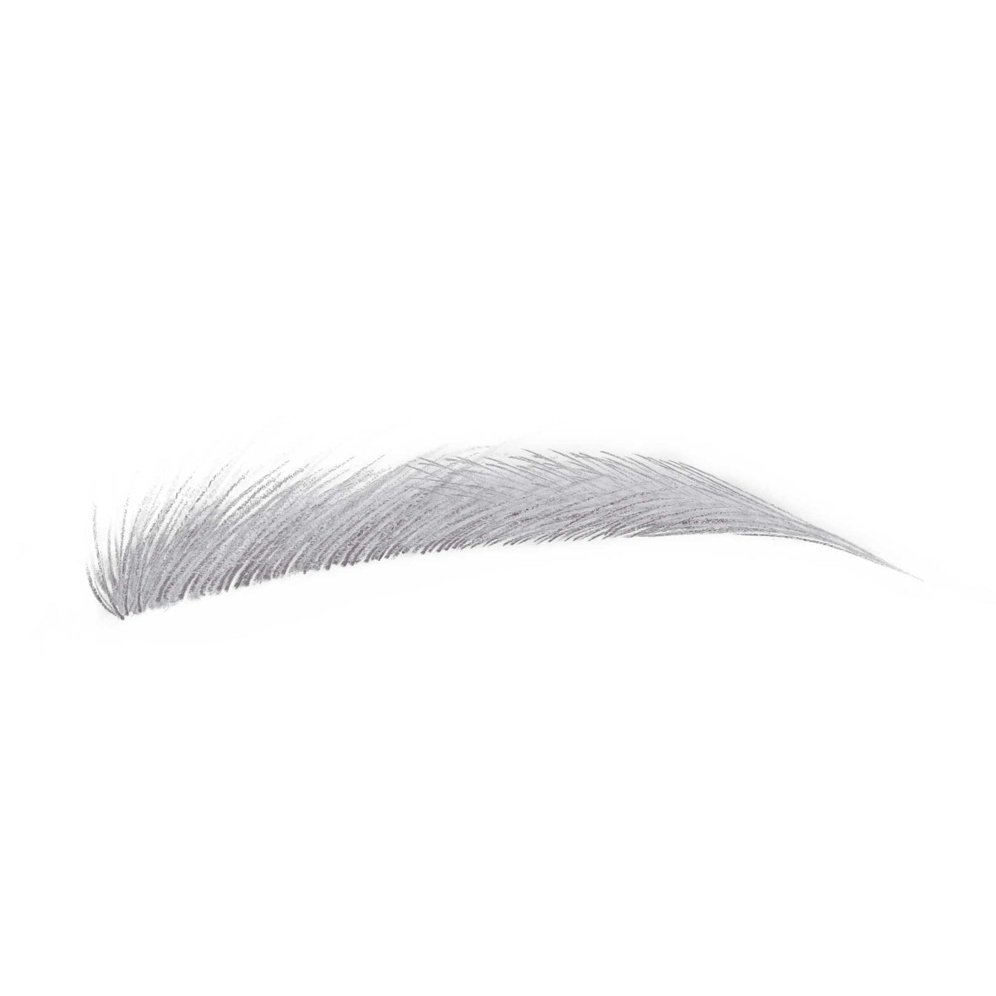 shu uemura Hard Formula Hard 10 (Ash Gray 14)