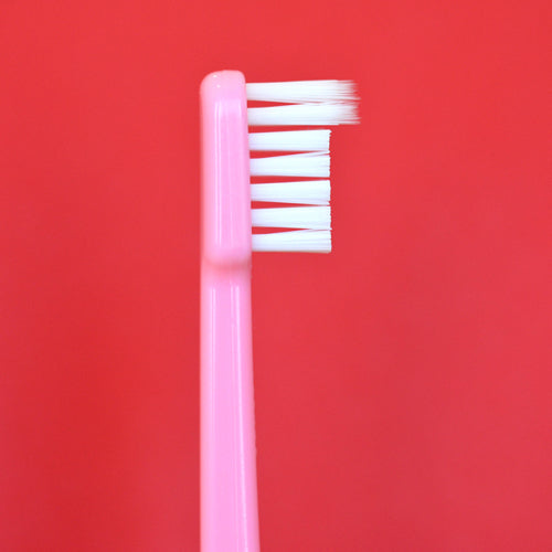 DENTALPRO Craypas Style Toothbrush 5-Pack