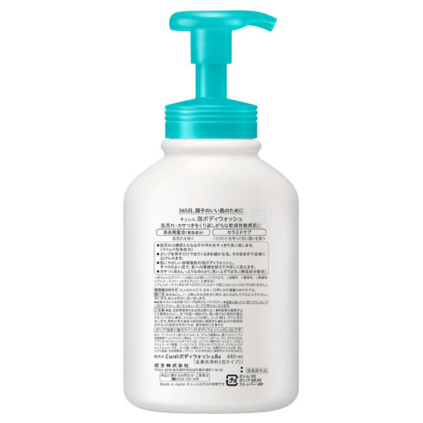 curel Moisturizing Foam Body Wash, Pump, 480ml