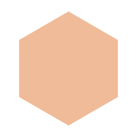 Integrate Gracy Moist Pact EX, SPF22 PA++, Refill, Ocher 10