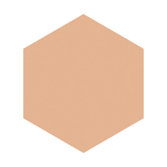 Integrate Gracy Moist Pact EX, SPF22 PA++, Refill, Ocher 20