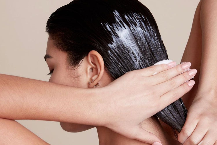 Shampoo & Conditioner