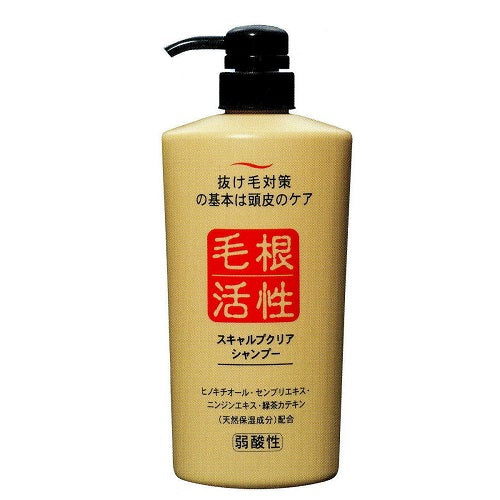 Jun Cosmetic Scalp Clear Shampoo, 550ml