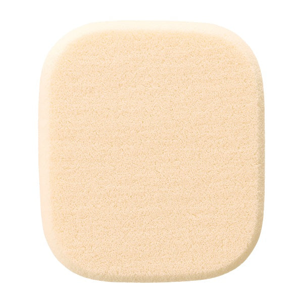 dProgram Foundation sponge (powdery), main body