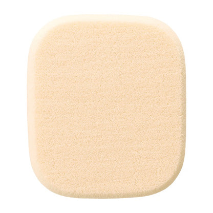 dProgram Foundation sponge (powdery), main body