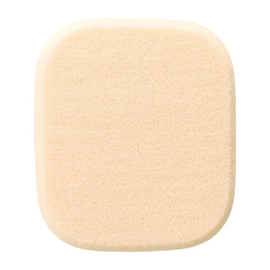 dProgram Foundation sponge (powdery), main body