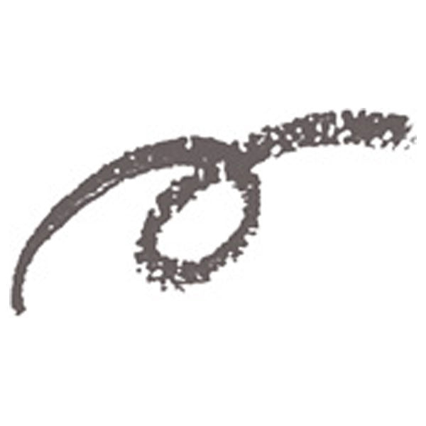 PRIOR Beauty Lift Eyebrow Refill (Gray)