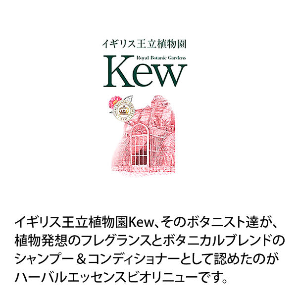 BioLinue Moroccan Oil Conditioner, Conditioner, 400g