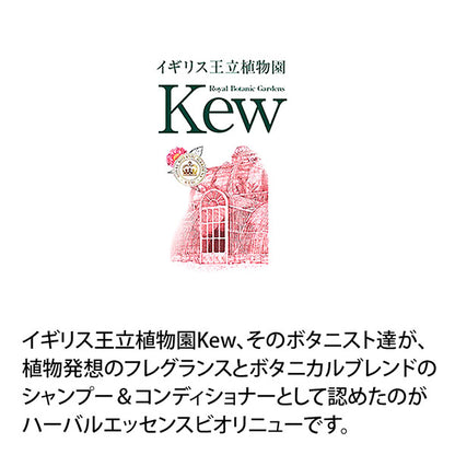 BioLinue Moroccan Oil Conditioner, Conditioner, 400g