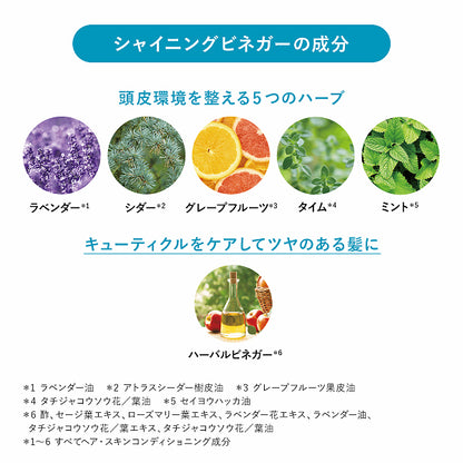 LOCCITANE Five Herbs Pure Freshness Shining Vinegar, 100ml