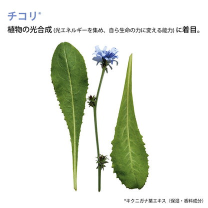 Everlasting Youth Fluid, 103, 30ml