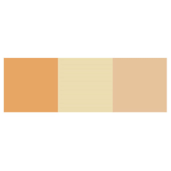 Dermacolor Perfect Concealer Palette Body