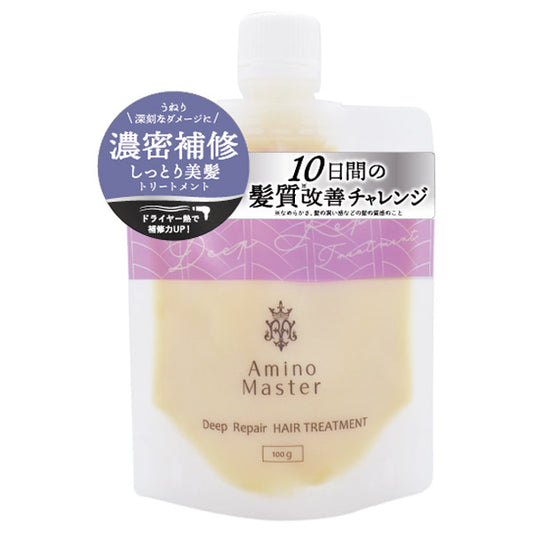 Amino Master Deep Repair Hair Treatment Compact, 100g
