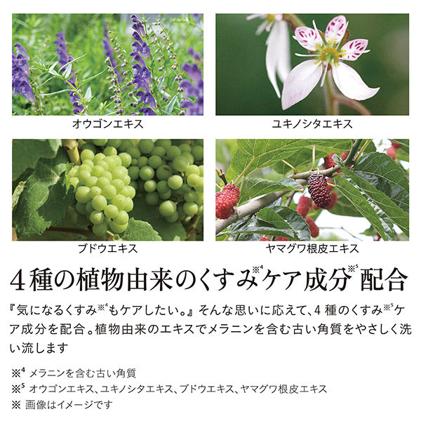 iroha INTIMATE WASH [FOAM TYPE], 150ml, Bergamot and Bitter Orange Scent