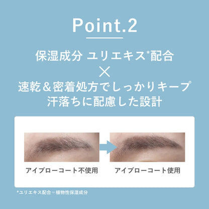 ORBIS Eyebrow Coat