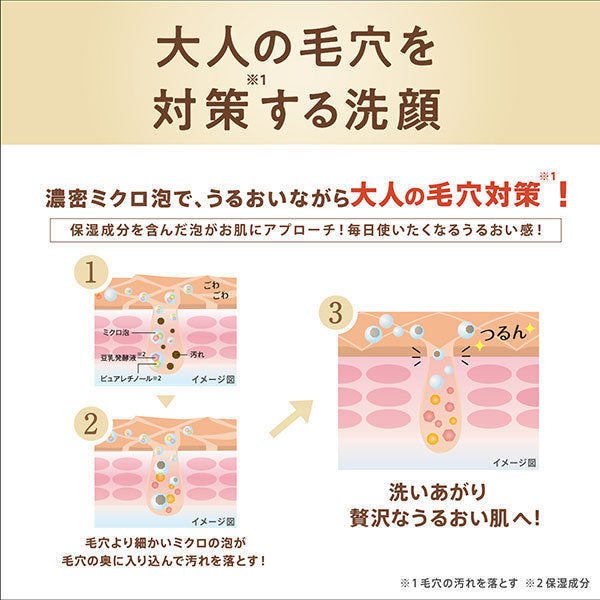 Nameraka Honpo WR Cleansing Face Wash N, 150g