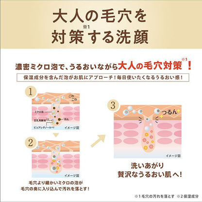 Nameraka Honpo WR Cleansing Face Wash N, 150g