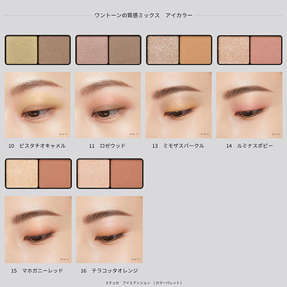 ETTUSAIS Eye Edition Color Palette (04 Orange Brown)