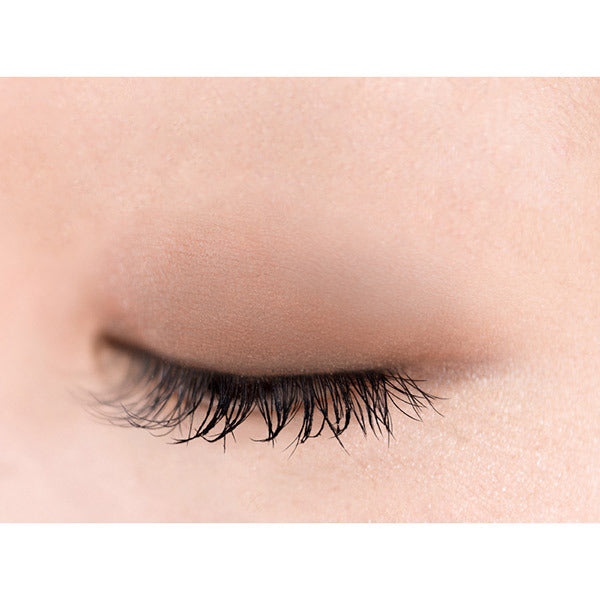 excel Eye Planner, F04 Sandalwood