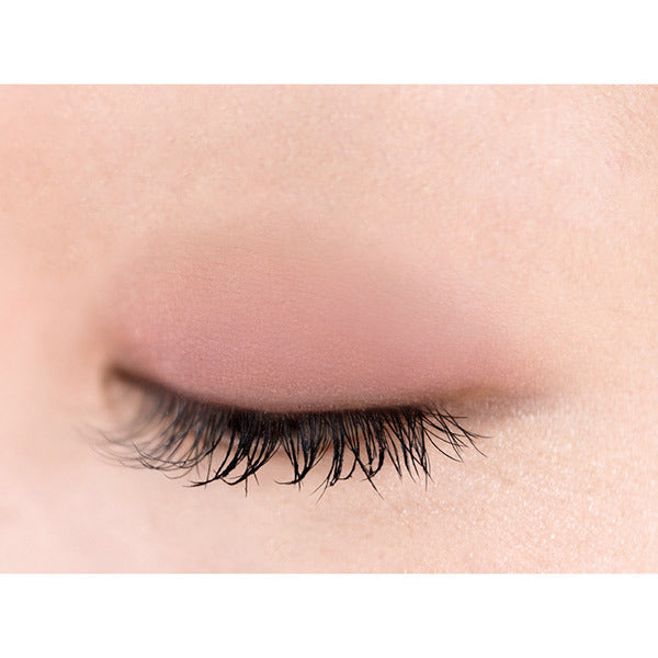 excel Eye Planner, F03 Bedside