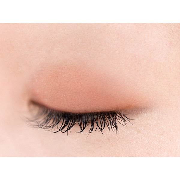 excel iPlanner, F02 Nutmeg