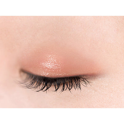 excel Eye Planner (R05 Cinnamon Fig)