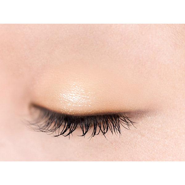excel Eye Planner (R01 Vanilla Musk)