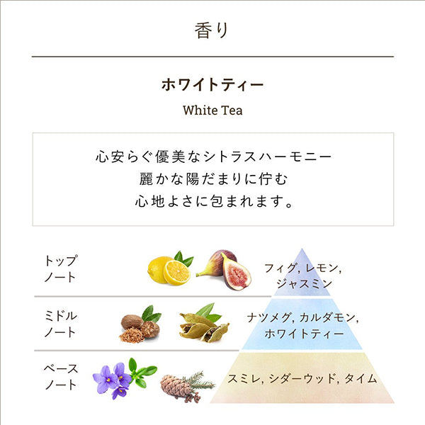 Shower Oil White Tea, 500ml, White Tea