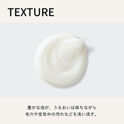 BAUM Face Wash Foam, 150g (Woodland Winds)