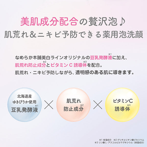 Nameraka Honpo Medicinal Foaming Face Wash Refill