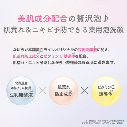 Nameraka Honpo Medicinal foam face wash