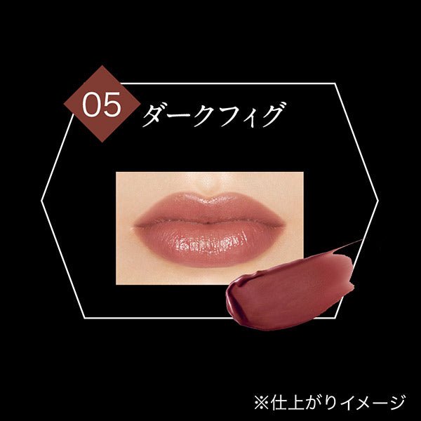 KATE Lip Monster (05 Dark Fig)