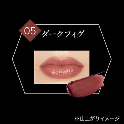KATE Lip Monster (05 Dark Fig)